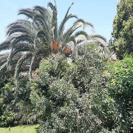 Apartma Ernestino Portoroz Exterior photo
