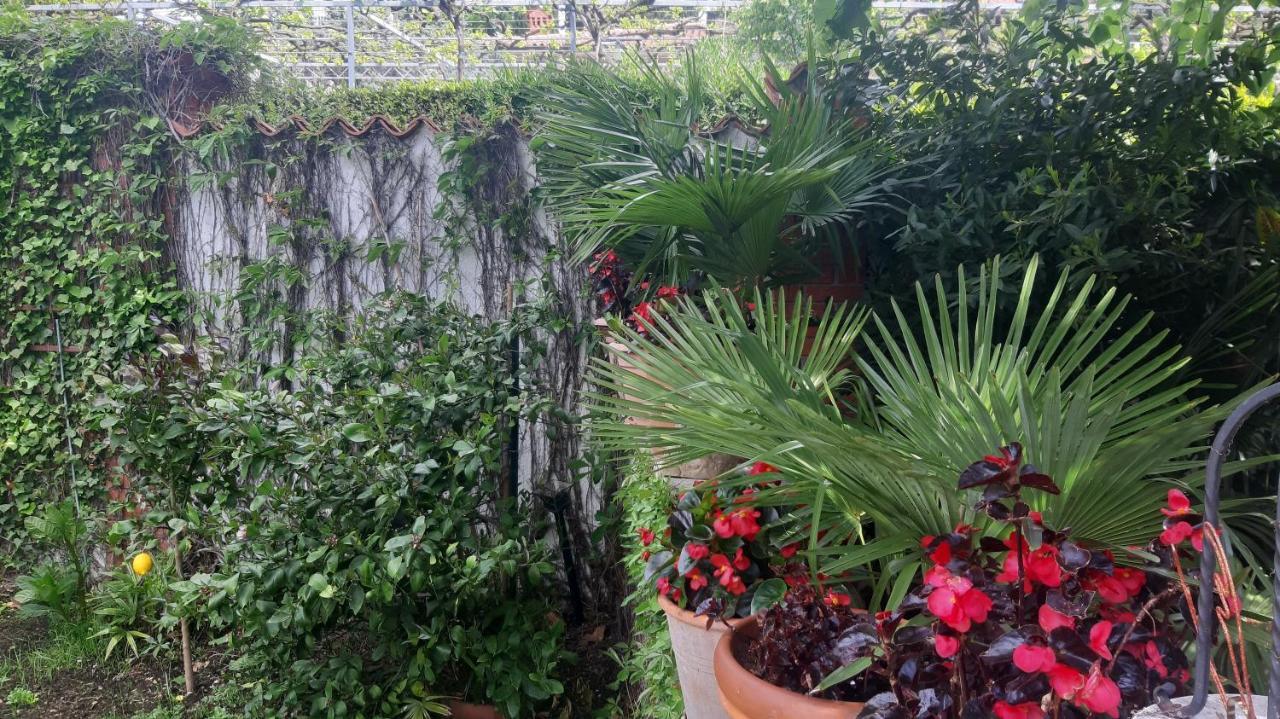 Appartamento Apartma Ernestino Portorose