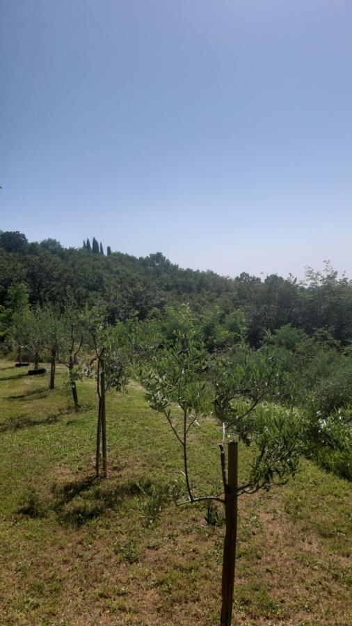 Apartma Ernestino Appartamento *
