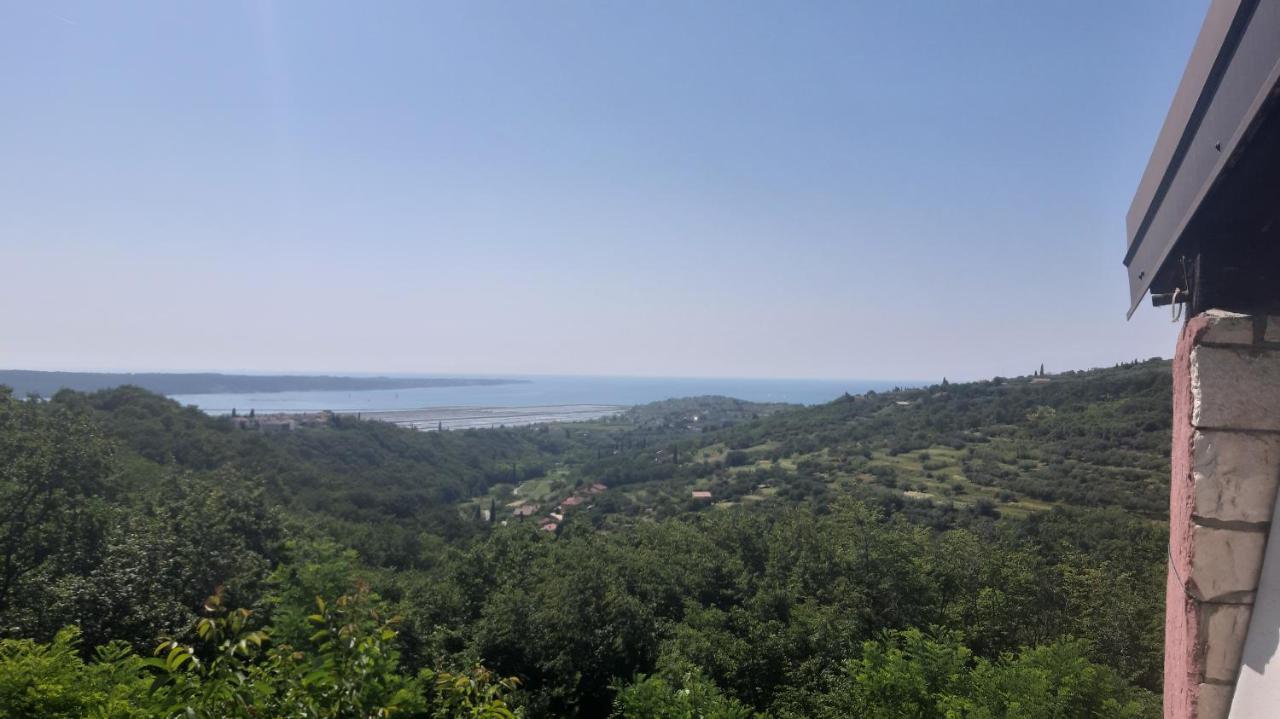 Apartma Ernestino Appartamento
